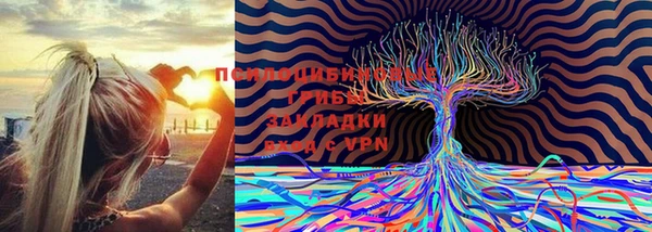 героин Богородск