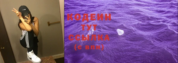 хмурый Богородицк